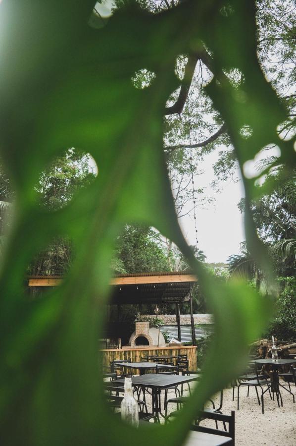Lost Boyz Hostel Playa Santa Teresa  Luaran gambar